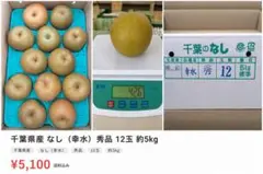 千葉県産 船橋なし 幸水 10玉 約5kg 秀品 - メルカリ