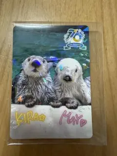 鳥羽水族館 コレクションカード vol.2 ニコイチ レア キラ メイ ラッコ