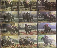 競馬カード サラブレッドカード 2000 12枚 菊花賞メモリアル