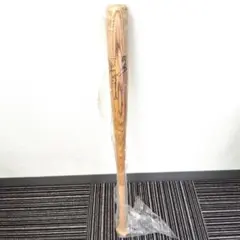 阪神タイガース #24 桧山進次郎 直筆サイン入りバット 実使用 MIZUNO製