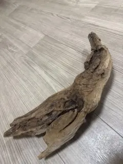 Item thumbnail for item 7edb03ff-88fa-451f-b227-015082f012b3