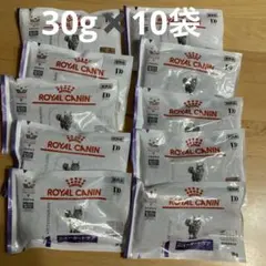 Item thumbnail for item 23e908d6-01ef-42c9-b2e7-f1931825a91c