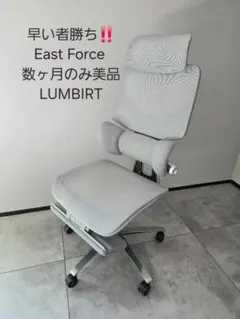 早い者勝ち‼️ EastForce Lumbirt オフィスチェア グレー 在宅