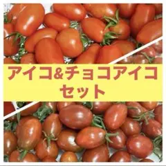 【長野県産】　ミニトマト　アイコ&チョコアイコ　セットのサムネイル
