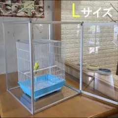 Item thumbnail for item bb21a402-2cc6-45ca-b96b-667d9b7d02bb