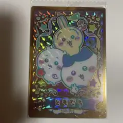 ヴァイスシュヴァルツブラウ】おそろい ちいかわとハチワレ SP 箔押し