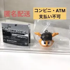 プロ野球マスコット めじるしアクセサリー ジャビット