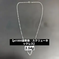 2026年最新】Pt100 ネックレスの人気アイテム - メルカリ