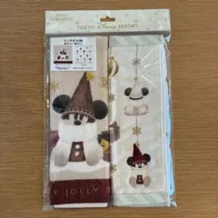 ディズニーリゾート リルリンリン　ハンドタオル　ミニタオルセット