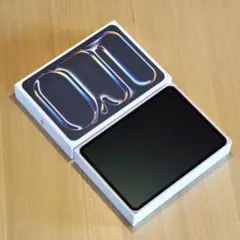 iPad Pro M4 1TB 11インチWi-Fi+Cellular Nano