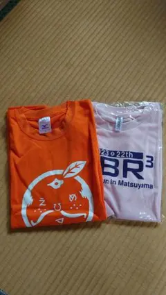 【新品未使用】S 愛媛マラソン SS坊っちゃんランランラン Tシャツ　2枚セット