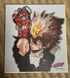 家庭教師ヒットマンREBORN ミニ色紙 沢田綱吉 大空のリングVer. X