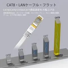 LANケーブル CAT8 2m 爪折れ防止 高速40Gbps PC・ゲーム対応
