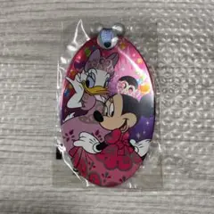 プリンセスデイズ　オーナメント　ディズニーランド