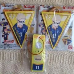 ハイキュー 月島蛍 フライトタグ ガーランド きゃーらんどこれくしょん 烏野