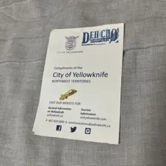 Item thumbnail for item fa924793-4d54-454e-8381-f52d8edaf65f