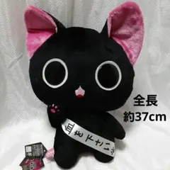 にゃんぱいあ　BIGぬいぐるみ　血ぃくれにゃ編