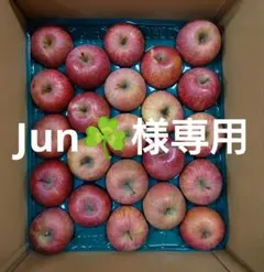 【Jun☘️様専用】