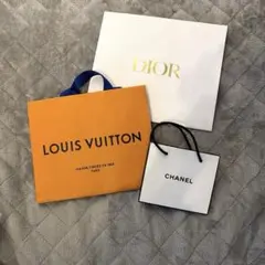 DIOR LOUIS VUITTON CHANEL ショップ袋 3点セット