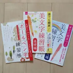ボールペン字 ペン習字 美文字 美しい文字 美文字練習帳 3冊セット