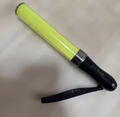 Item thumbnail for item 75b3db27-22ea-4012-80f2-e70449404f41