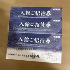 幕張温泉 湯楽の里 入館ご招待券 3枚セットのサムネイル