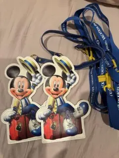 Disney バケーションパッケージ チケットホルダー2個