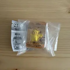 ポケモン ポケプラブリスターマスコットチャーム♪