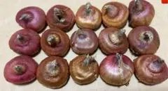 カオリン様 リクエスト 2点 まとめ商品