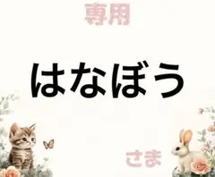 専用