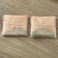 ディズニーランドホテル　エコバッグ　２つセット