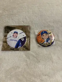 ファイターズ 田宮裕涼セット　缶バッジ、レザーバッヂ