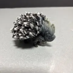 collecta ヤマアラシ