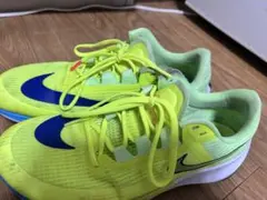 Nike Zoom