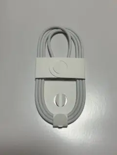 Type-C 充電ケーブル Apple純正