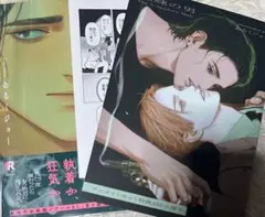 新刊ＢＬ／蜘蛛の男 ／あるくジョー