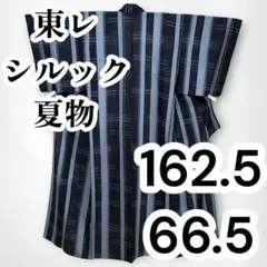 【美品✨】東レシルック　さんび　洗える着物　夏着物　絽　小紋　濃紺　格子　C5のサムネイル