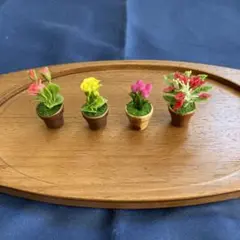 ミニチュアフラワー