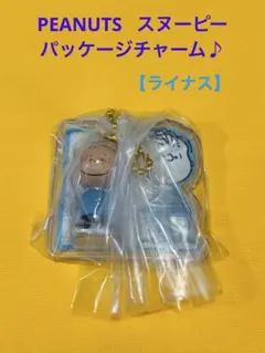 PEANUTS 스누피 패키지 매력 초코보로 라이너스
