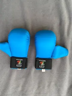 Item thumbnail for item f8e33616-1b53-4337-a8e7-a213df9ea191