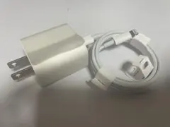 Apple 20W USB-C電源アダプタとLightningケーブル