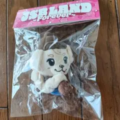 【新品未開封】岩田剛典 抱きつきキャラクターシュシュ JSB LAND ロッキー