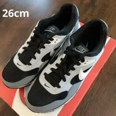 ナイキ エア マックス コレレイト　26cm