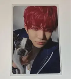 ENHYPEN 2025 アンケート 特典 FCトレカ ヒスン