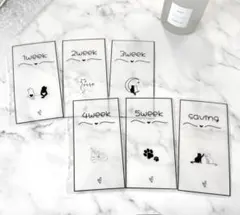 Item thumbnail for item fccd5b05-220b-4d1d-9b54-94ae0601f229