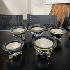 2025年最新】富貴蘭鉢の人気アイテム - メルカリ