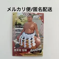 大相撲 BBM 2026 SUMO CARDS キラパラレル版 豊昇龍 - メルカリ