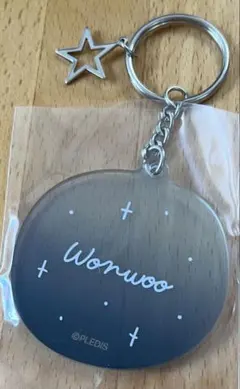 匿名配送 ウォヌ キーホルダー セブチカフェ