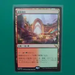 MTG 資源の浪費/Squandered Resources VIS 日本語 - メルカリ