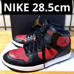 NIKE ジョーダンアクセス 28.5cm 箱あり AR3762-006のサムネイル